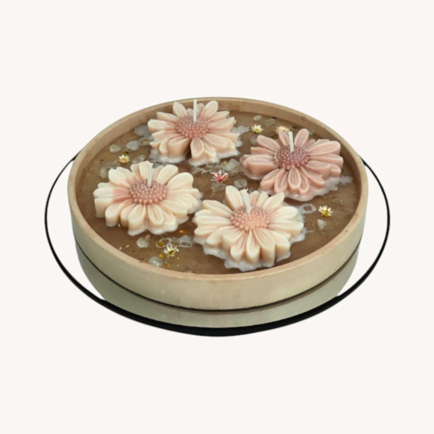 Floating Daisy Bloom