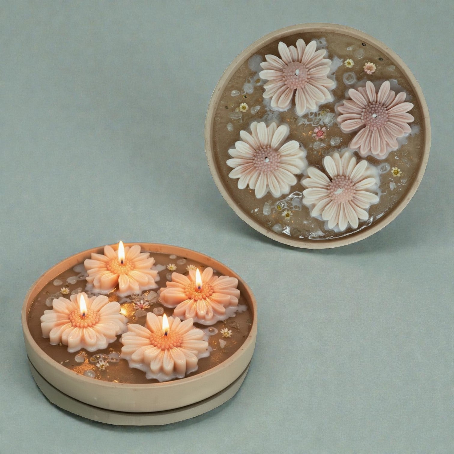 Floating Daisy Bloom