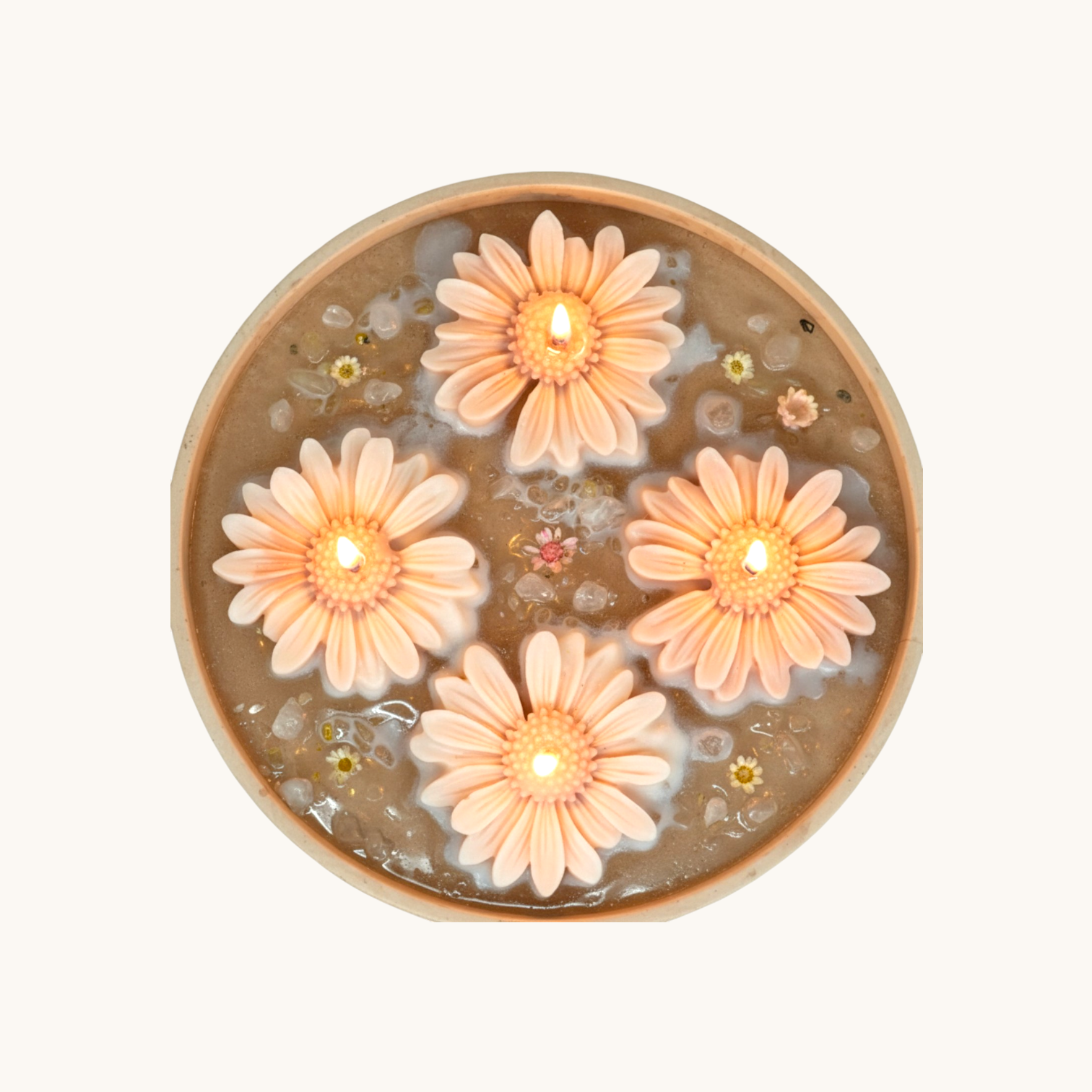 Floating Daisy Bloom